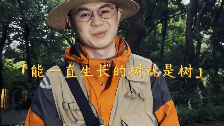 Pohon yang tak berguna itulah pohon sejati