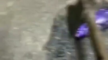 这个游戏我是真的玩不下去了