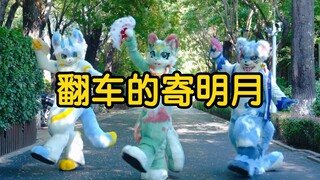 是明月，寄了寄了，原来雪吾是喜剧人！