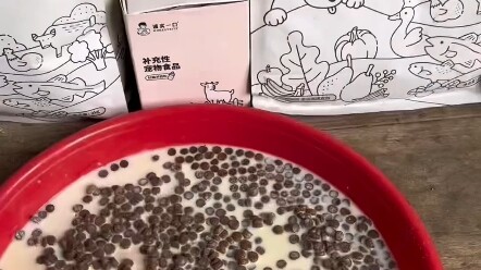 صدقًا، الكلاب بحاجة لوجبة لذيذة! بعد نصف شهر من الغياب، لاحظت أن صغارنا نحفوا قليلًا، لازم نحسّن نظا