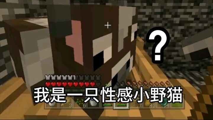 Uh! Qixing Entertainment!