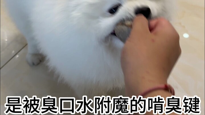 If you’re a crybaby, don’t watch this…