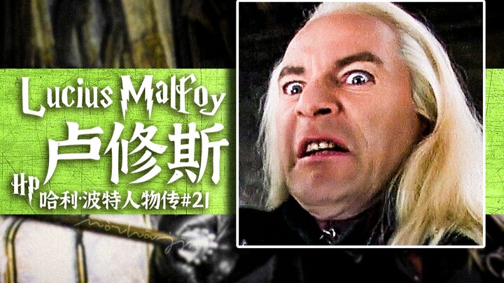 【سيرة شخصية هاري بوتر 21】كن جادًا! أنا على الأقل من الأشرار!