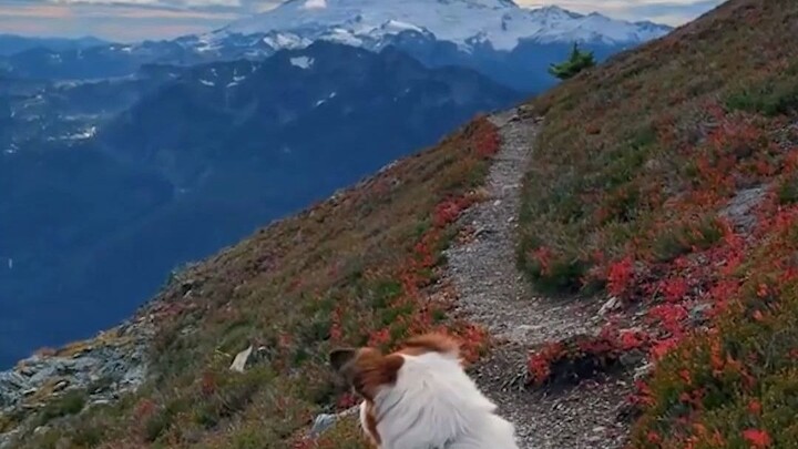 جِئْتَ من بين الجبال والأنهار والغابات، لمعتَ لمعانًا خاطفًا فتفتحتِ الأزهارُ جميعُها. بردٌ قارسٌ لد