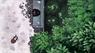 NARUTO SHIPPUDEN SHORTS