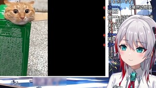 สาวญี่ปุ่นธรรมชาติชม "ทำไมเรื่องเลวร้ายถึงเกิดขึ้นกับแมว!" -
