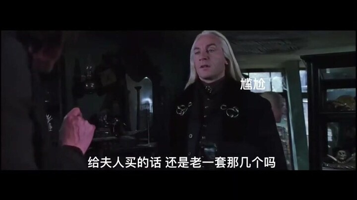 【Harry Potter】Cửa hàng chuyên dùng để chiều vợ của gia tộc Malfoy