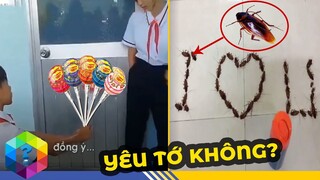 Ngoác Miệng Với Những Màn Tỏ Tình Bá Đạo Và Lầy Lội Nhất Của Học Sinh Việt Nam - Top 1 Khám Phá