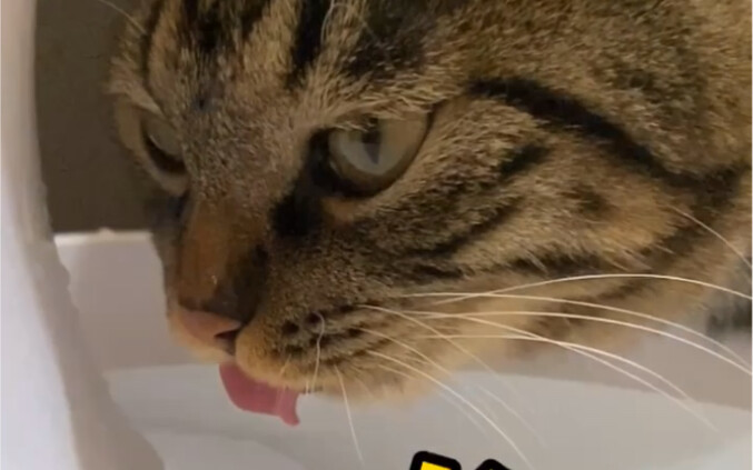 ตอน: ฉันว่าแกคงป่วยหนักแน่ๆ