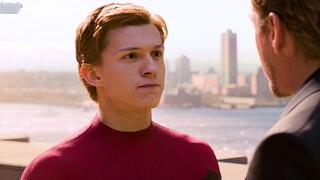 [4K60 Frames] The little spider "It's hard to calm down" is mature, but Tony is gone...