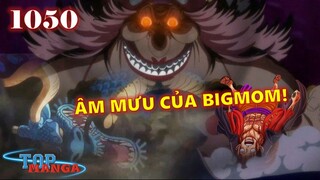 [One Piece 1050]. Ẩn ý cuộc gặp gỡ của 2 Tứ Hoàng, âm mưu của Bigmom được tiết lộ!