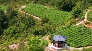 89. He Was Her Stable Boy. Now He's a Prince. And He's Come to Collect What's His—Her.