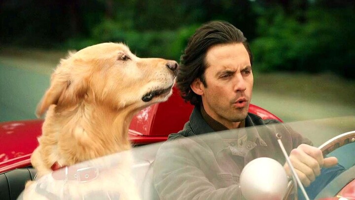 Please grab a tissue before watching—this year’s most tear-jerking film, “I’m Waiting for You in the
