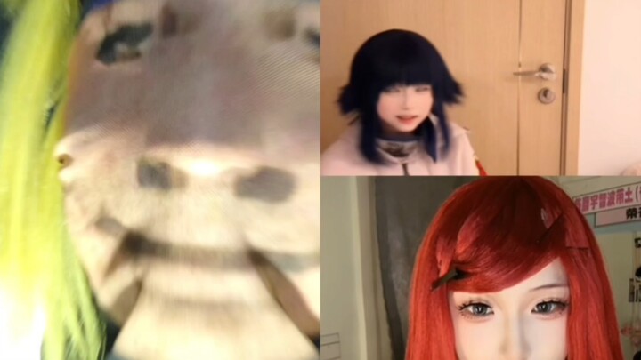 昂？吧唧哩哒～    昂？大得吧哟～