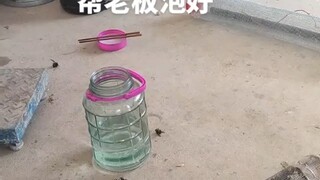 亲自帮老板泡好