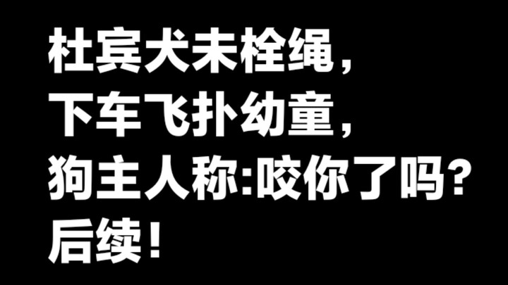 ชาวเน็ตแจ้งว่ามีสุนัขดอร์เชอร์สองตัวในหมู่บ้านไม่ได้ใส่สายจูง พอลงจากรถก็พุ่งเข้าใส่เด็กเล็กวัยสองขว