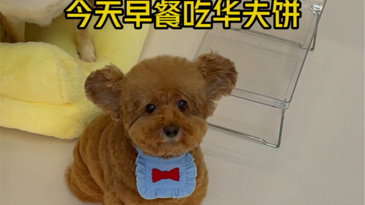 Episode 42 | Today's Breakfast - Waffles