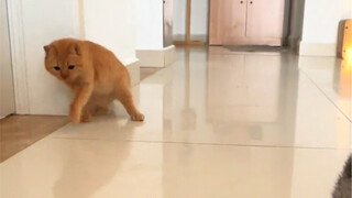 Hơi giống kiểu bố tôi say rượu nhất định phải ăn cơm vậy.