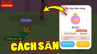 Tiết Lộ Thời Gian Địa Điểm Săn Côn Trùng Tím Bọ Kẹp Kìm Vàng Thành Công 100% | Play Together