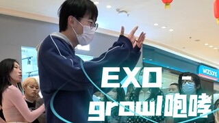 EXO十年迷弟的随舞现场咆哮growl！大家的应援实在太捧了