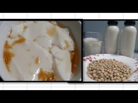 Monkey's House || Cách làm đậu hủ, sữa đậu nành tại nhà || Cách làm đậu hủ bằng gelatin
