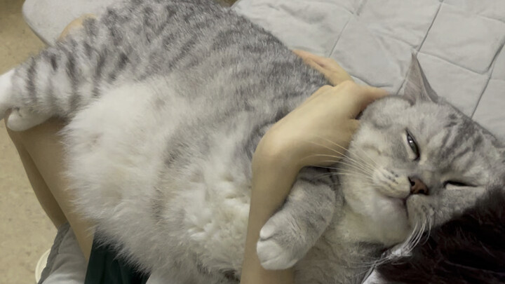 Rekaman tersembunyi Da Zhuang manja dengan Permaisuri Agung ketahuan