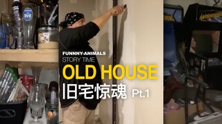 住了10年的房子，终于找到了新闻中说的秘密房间！ （⚠️结尾轻微高能）