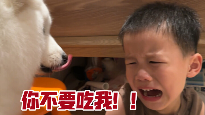 3-year-old son freaks out and bursts into tears—dog: “Family, who gets it…”
