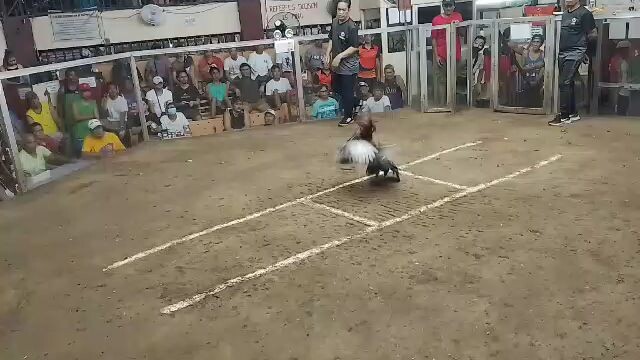 hack fight sta. quiteria arena