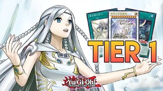 These Blue-Eyes Combos Are INSANE!! Yu-Gi-Oh!