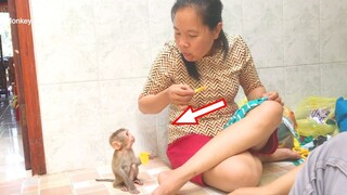 Grandma Show Princes Maya Eat Mango During She Design New Dress For Her