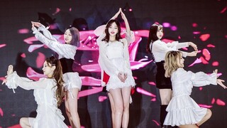 [PANDAQ]KDS Cuộc thi nhảy cover dance dance Hàn Quốc "La Vie en Rose" của nhóm người đẹp Thượng Hải 