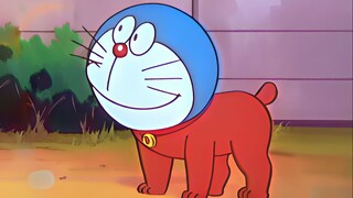 ♪狗里狗气，但是好听！♪