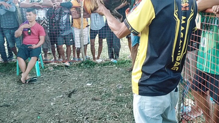 ikatulong laban