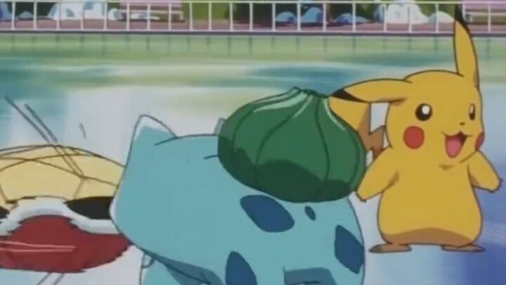 "The Happy Life of Squirtle and Bulbasaur"