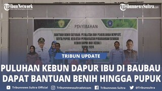🔴 43 Kebun Dapur Ibu di Baubau Sultra Dapat Bantuan Benih Sayuran, Pengolahan Demplot hingga Pupuk