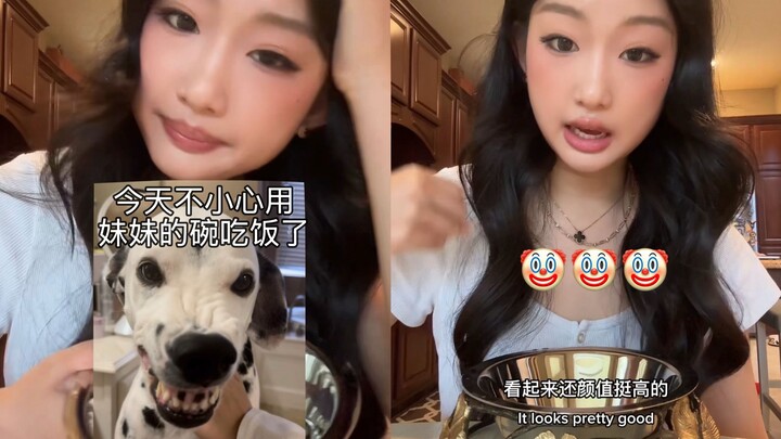 เผลอใช้ชามหมาสุดล้ำค่าที่เป็นมรดกตกทอดของน้องสาวกินข้าวไปแล้ว 🐶🤡