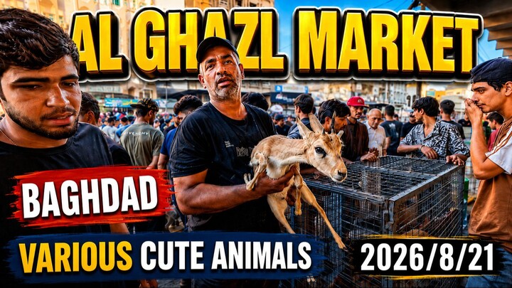 Baghdad’s Famous Al-Ghazl Market, Strange Animals and Birds in Iraq