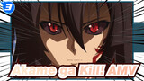 [Akame ga Kill! AMV] Ruin... Kill at One Time!_3
