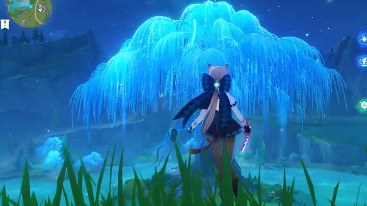 Seberapa mengerikankah Linnet No. 1 di Tiongkok? Linnet C Utama! Kucing sutra hitam! Kucing yang taj