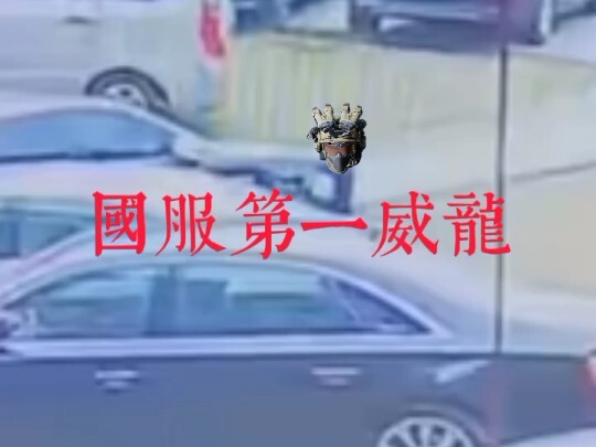 国服第一威龙