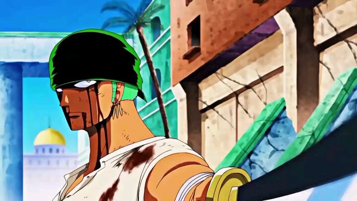 Zoronoa zoro
