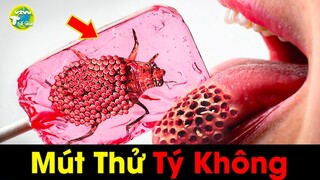 Giải Mã 5 Sự Thật Bí Ẩn Về Kẹo Ăn Cả Trăm Lần Nhưng Không Phải Ai Cũng Biết Điều Này | Vivu Thế Giới