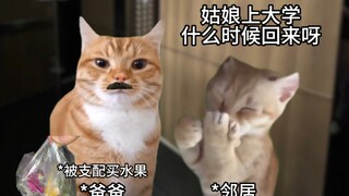 Khi trường học của bạn ở rất gần nhà thì sướng đến mức nào nhỉ