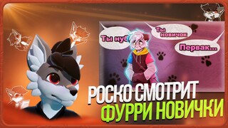 🐺 Роско смотрит Rive - Эти 5 Вещей Сразу ВЫДАЮТ, что ТЫ НУБ в Фурри Фэндоме ✅