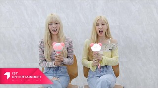 Apink CHOBOM 'Copycat' 应援法