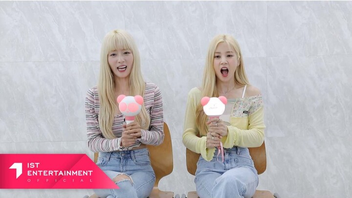 Apink CHOBOM 'Copycat' 应援法