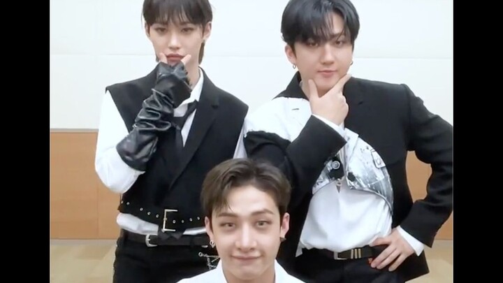 【Stray Kids】ครั้งแรกในญี่ปุ่นกับการฉลองยอดขายระดับแพลตินัม｜อัปเดต TikTok
