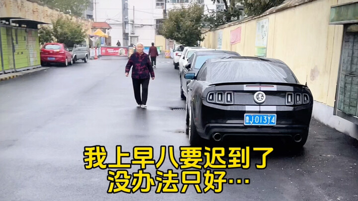 邻居们应该不会怪我吧…