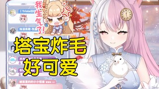 【雪狐】一提到唇印to签，塔宝就会炸毛